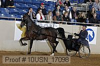 10usn_17098 proof