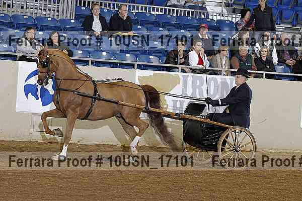 Proof 10usn_17101