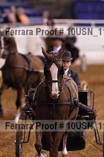 Proof 10usn_11363
