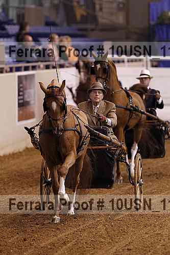 Proof 10usn_11365