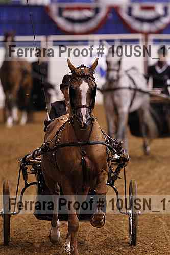 Proof 10usn_11367