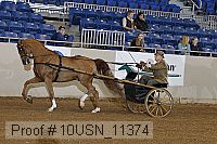 10usn_11374 proof