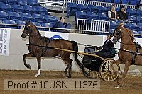 10usn_11375 proof