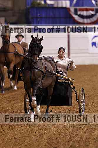 Proof 10usn_11376