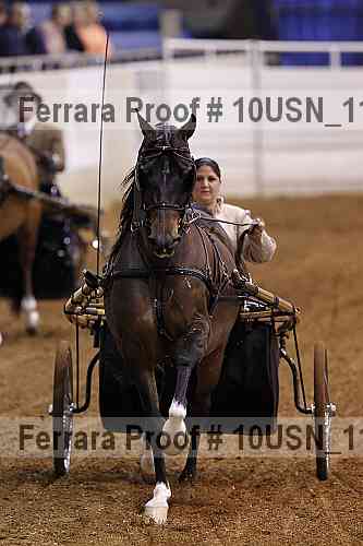 Proof 10usn_11377