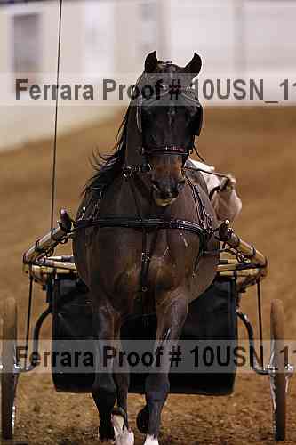 Proof 10usn_11378