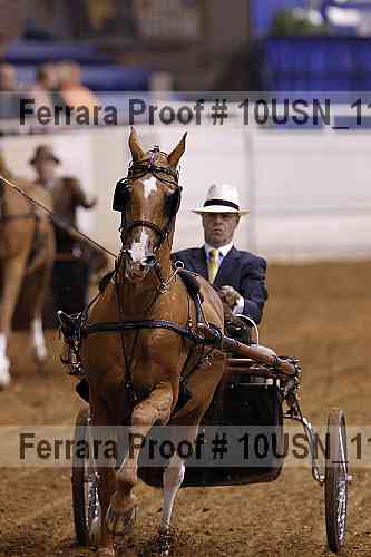 Proof 10usn_11382