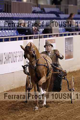 Proof 10usn_11384