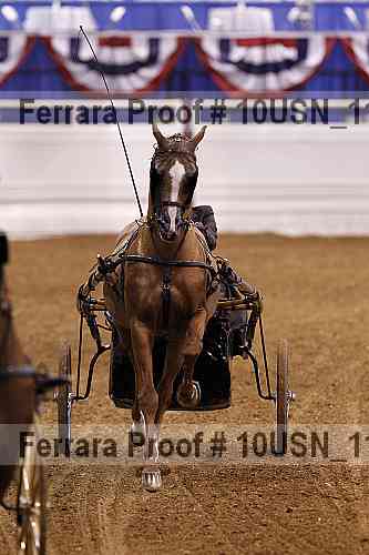 Proof 10usn_11389