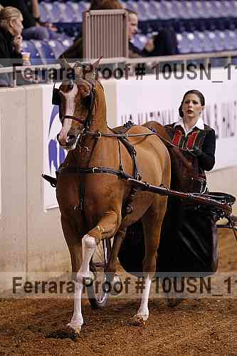 Proof 10usn_11394