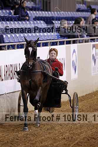Proof 10usn_11399