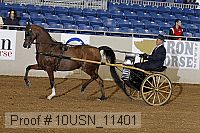 10usn_11401 proof