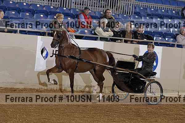 Proof 10usn_11403
