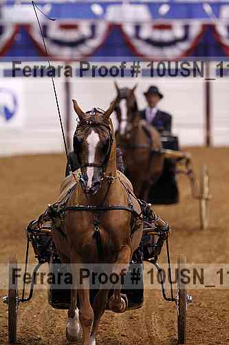 Proof 10usn_11406