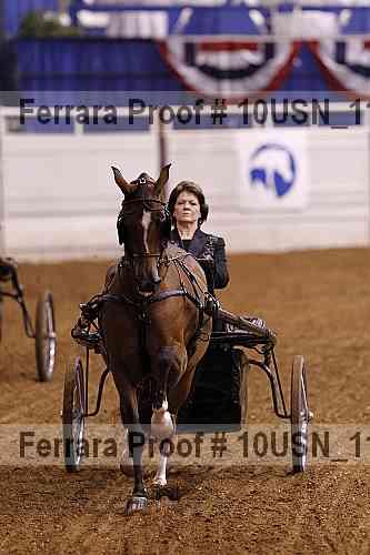 Proof 10usn_11411