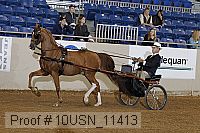 10usn_11413 proof