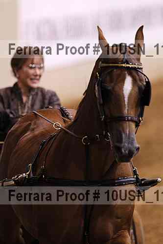 Proof 10usn_11414
