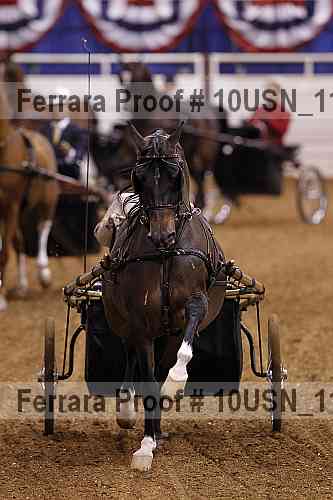 Proof 10usn_11418