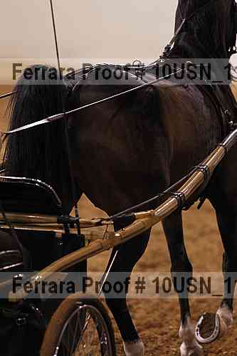 Proof 10usn_11433