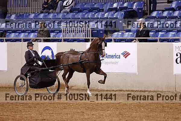 Proof 10usn_11441