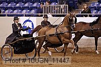 10usn_11447 proof