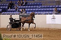 10usn_11454 proof