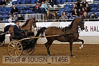 10usn_11456 proof