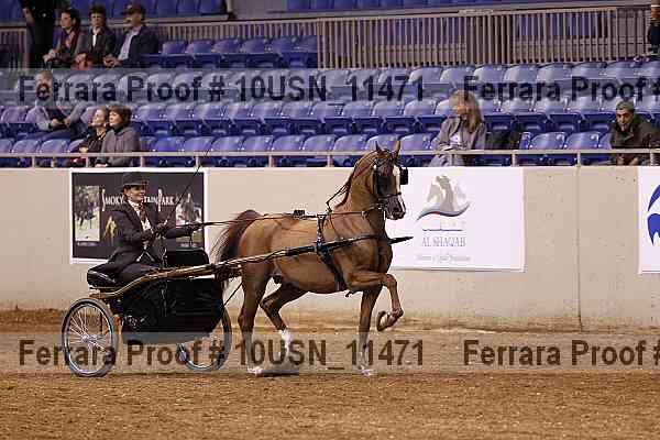 Proof 10usn_11471
