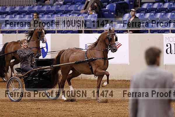 Proof 10usn_11474