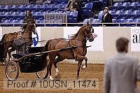 10usn_11474 proof