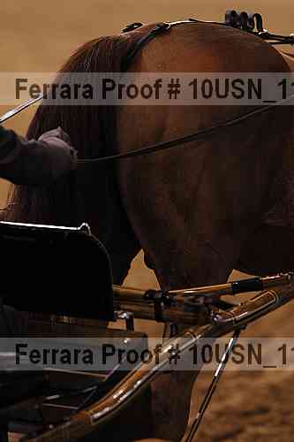 Proof 10usn_11480