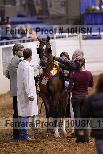 Proof 10usn_11482