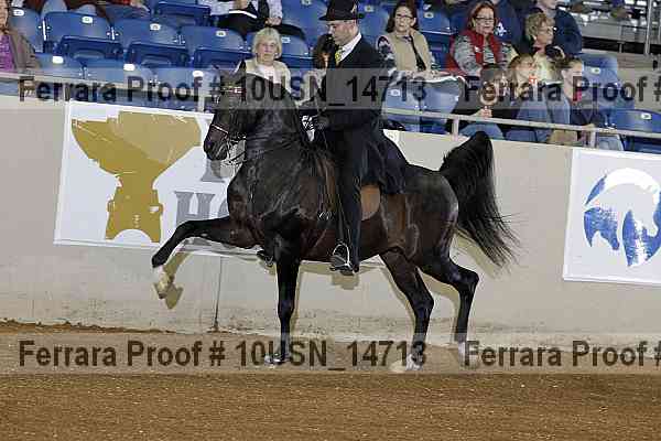 Proof 10usn_14713
