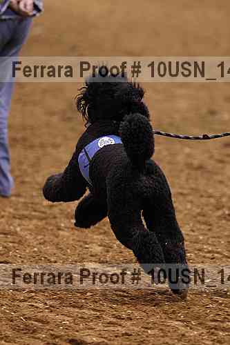 Proof 10usn_14724