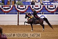 10usn_14734 proof