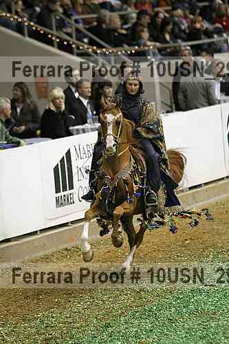 Proof 10usn_29945