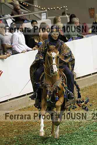 Proof 10usn_29946
