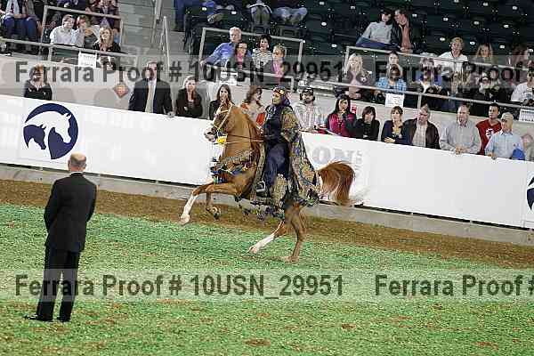 Proof 10usn_29951
