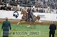 10usn_29952 proof