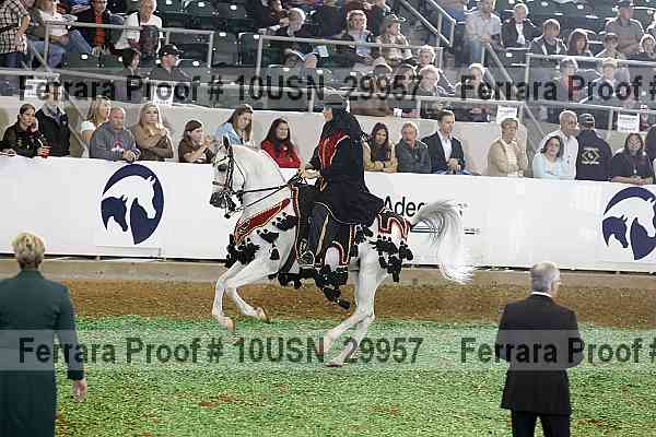 Proof 10usn_29957