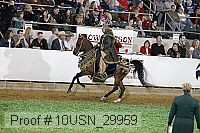 10usn_29959 proof