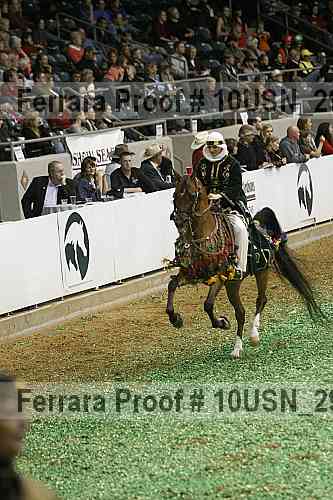 Proof 10usn_29963