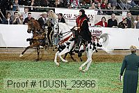 10usn_29966 proof