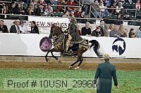 10usn_29968 proof