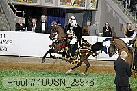 10usn_29976 proof