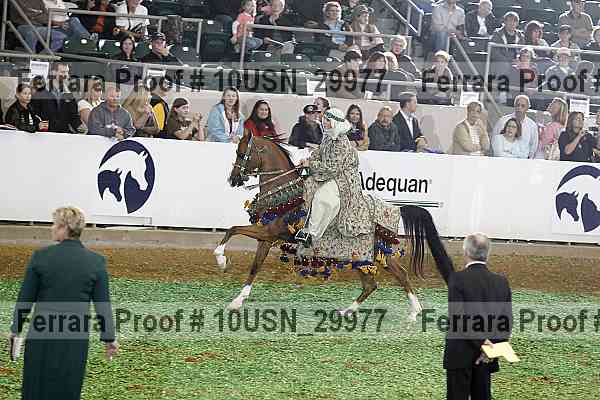 Proof 10usn_29977