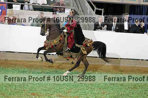 Proof 10usn_29988