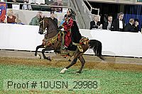 10usn_29988 proof