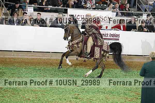 Proof 10usn_29989