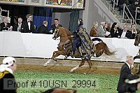 10usn_29994 proof